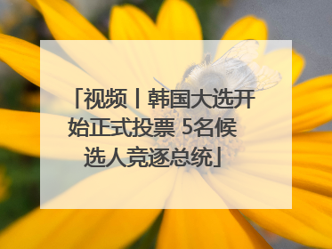 视频丨韩国大选开始正式投票 5名候选人竞逐总统