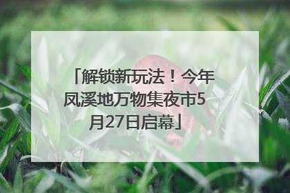 解锁新玩法！今年凤溪地万物集夜市5月27日启幕