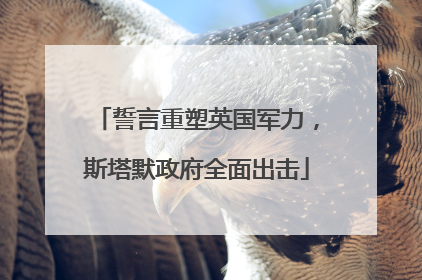 誓言重塑英国军力，斯塔默政府全面出击
