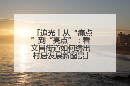 追光丨从“痛点”到“亮点”：看文昌街道如何绣出村居发展新图景