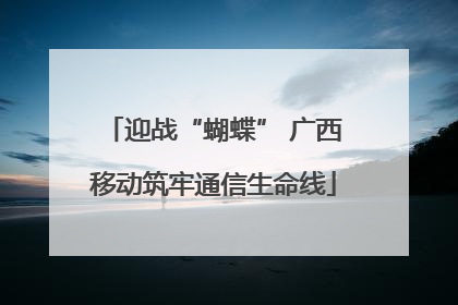 迎战“蝴蝶” 广西移动筑牢通信生命线
