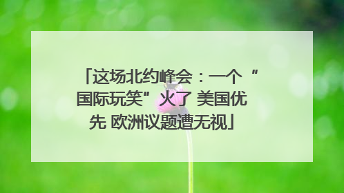 这场北约峰会：一个“国际玩笑”火了 美国优先 欧洲议题遭无视