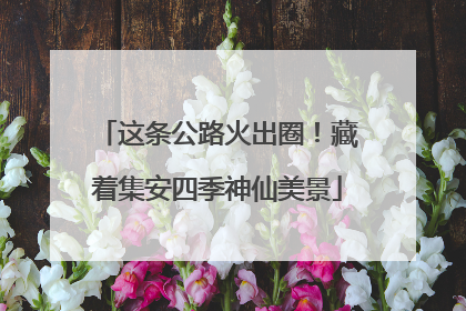 这条公路火出圈！藏着集安四季神仙美景