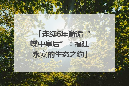 连续6年邂逅“蝶中皇后”：福建永安的生态之约