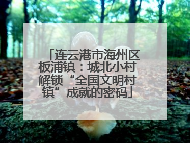 连云港市海州区板浦镇：城北小村解锁“全国文明村镇”成就的密码
