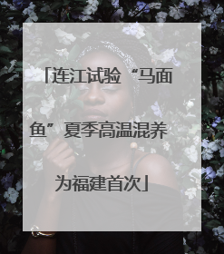 连江试验“马面鱼”夏季高温混养 为福建首次