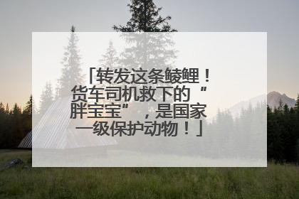 转发这条鲮鲤！货车司机救下的“胖宝宝”，是国家一级保护动物！