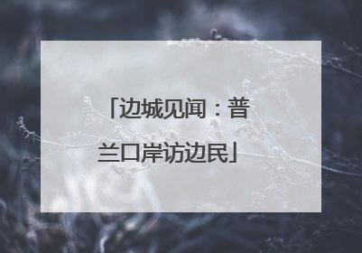 边城见闻：普兰口岸访边民