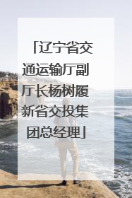 辽宁省交通运输厅副厅长杨树履新省交投集团总经理