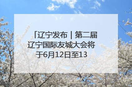 辽宁发布｜第二届辽宁国际友城大会将于6月12日至13日在沈阳举办