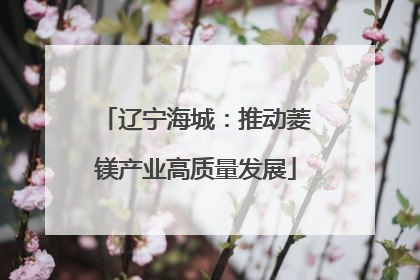 辽宁海城：推动菱镁产业高质量发展