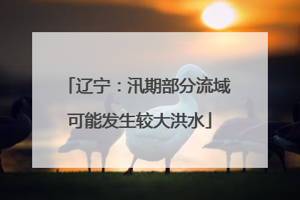 辽宁：汛期部分流域可能发生较大洪水