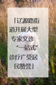 辽源路街道开展大型专家义诊 “一站式”诊疗广受居民赞誉