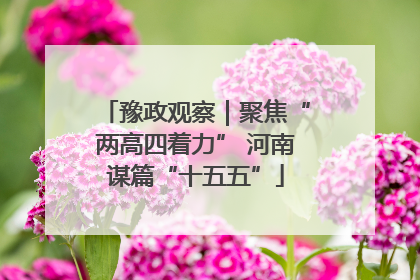 豫政观察｜聚焦“两高四着力” 河南谋篇“十五五”