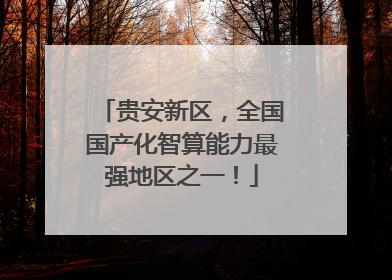 贵安新区，全国国产化智算能力最强地区之一！