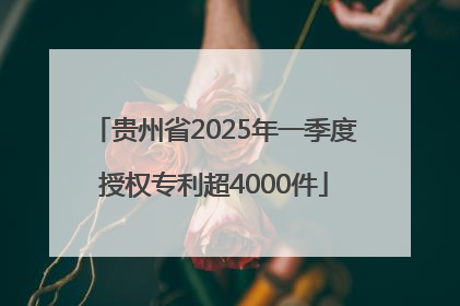贵州省2025年一季度授权专利超4000件