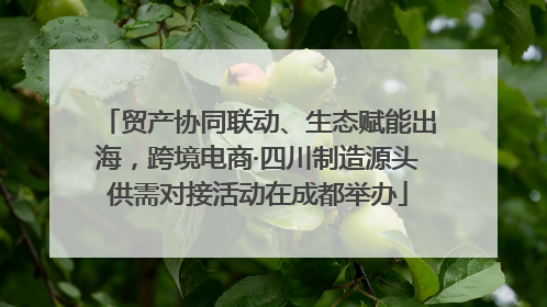 贸产协同联动、生态赋能出海，跨境电商·四川制造源头供需对接活动在成都举办