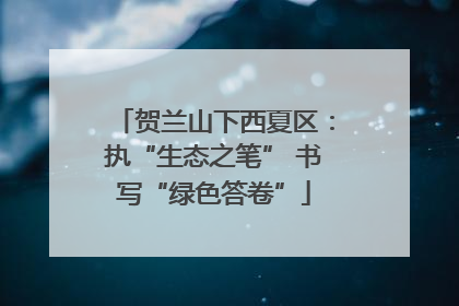 贺兰山下西夏区：执“生态之笔” 书写“绿色答卷”