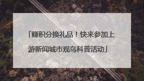 赚积分换礼品！快来参加上游新闻城市观鸟科普活动