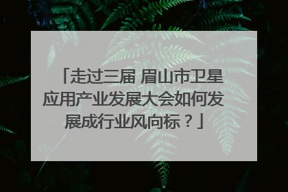 走过三届 眉山市卫星应用产业发展大会如何发展成行业风向标？