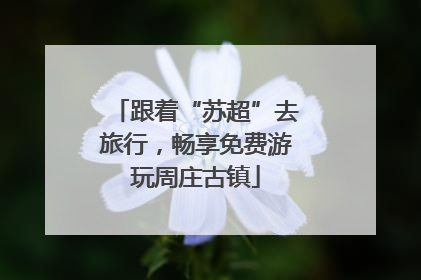 跟着“苏超”去旅行，畅享免费游玩周庄古镇