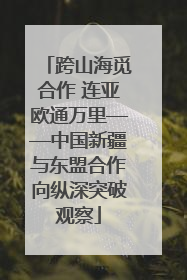 跨山海觅合作 连亚欧通万里——中国新疆与东盟合作向纵深突破观察