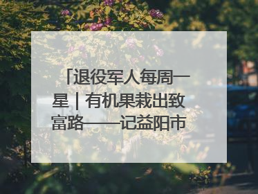 退役军人每周一星｜有机果栽出致富路——记益阳市银城南湖蔬果农民专业合作社总经理晏桂明
