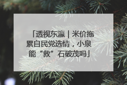 透视东瀛｜米价拖累自民党选情，小泉能“救”石破茂吗