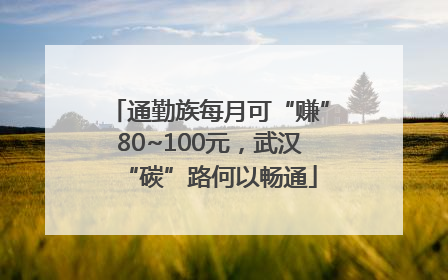 通勤族每月可“赚”80~100元，武汉“碳”路何以畅通