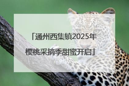 通州西集镇2025年樱桃采摘季甜蜜开启