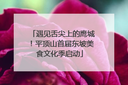 遇见舌尖上的鹰城！平顶山首届东坡美食文化季启动