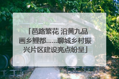 邑路繁花 沿黄九品 画乡鲤都……聊城乡村振兴片区建设亮点纷呈