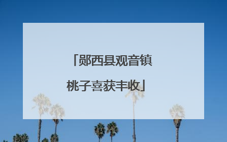 郧西县观音镇桃子喜获丰收
