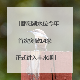 鄱阳湖水位今年首次突破14米 正式进入丰水期