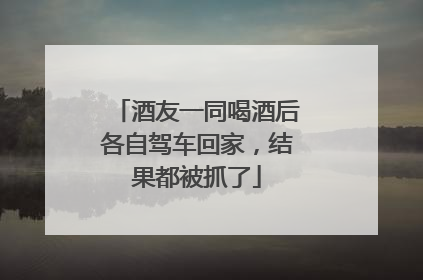 酒友一同喝酒后各自驾车回家，结果都被抓了