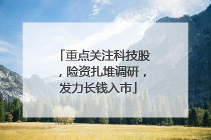 重点关注科技股，险资扎堆调研，发力长钱入市