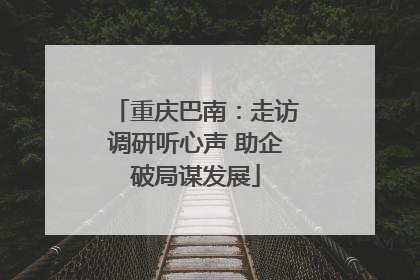 重庆巴南：走访调研听心声 助企破局谋发展