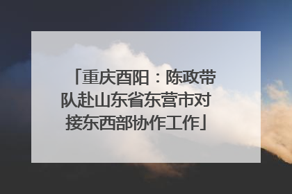 重庆酉阳：陈政带队赴山东省东营市对接东西部协作工作