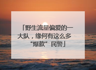 野生流量偏爱的一大队，缘何有这么多“爆款”民警