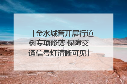 金水城管开展行道树专项修剪 保障交通信号灯清晰可见