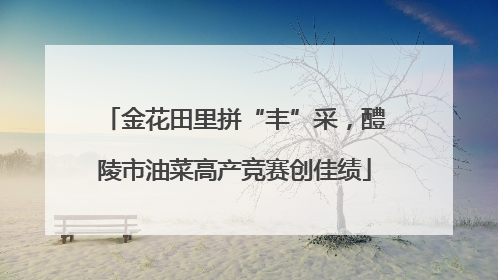 金花田里拼“丰”采，醴陵市油菜高产竞赛创佳绩