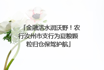 金融活水润沃野！农行汝州市支行为夏粮颗粒归仓保驾护航