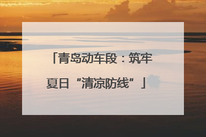 青岛动车段：筑牢夏日“清凉防线”
