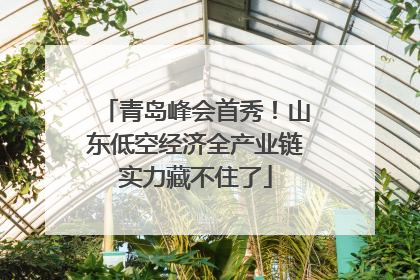 青岛峰会首秀！山东低空经济全产业链实力藏不住了