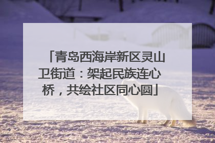 青岛西海岸新区灵山卫街道：架起民族连心桥，共绘社区同心圆