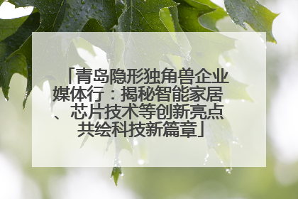 青岛隐形独角兽企业媒体行：揭秘智能家居、芯片技术等创新亮点 共绘科技新篇章