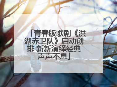 青春版歌剧《洪湖赤卫队》启动创排 新新演绎经典声声不息