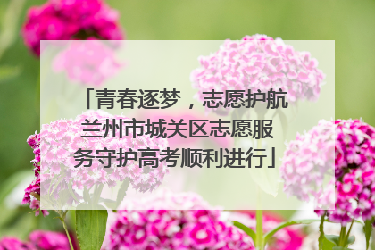 青春逐梦，志愿护航 兰州市城关区志愿服务守护高考顺利进行