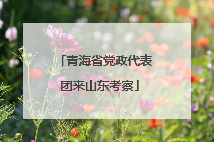 青海省党政代表团来山东考察