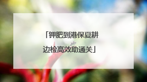 钾肥到港保夏耕 边检高效助通关